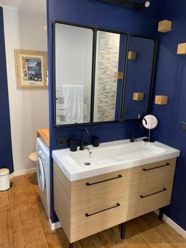 une salle de bain avec un lavabo et un miroir dans l'établissement Maison échoppe - Bordeaux, à Bordeaux