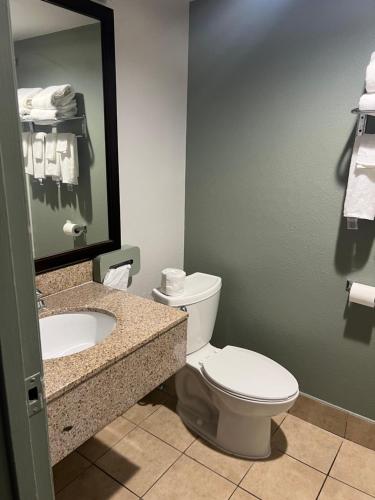 een badkamer met een toilet, een wastafel en een spiegel bij Quality Inn & Suites in Cincinnati