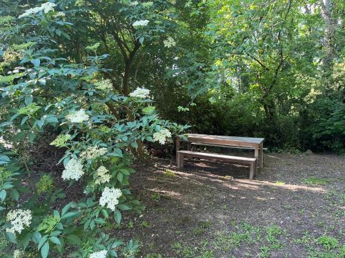 un banc en bois installé au milieu d'un parc dans l'établissement Maison de campagne, à Saint-Saturnin-sur-Loire