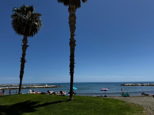 mensen op een strand met palmbomen en de oceaan bij Apartamento con parking en Pedregalejo in Málaga