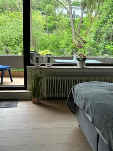 1 dormitorio con 1 cama y una ventana con plantas en Ferienwohnung Weiss, en Bad Breisig