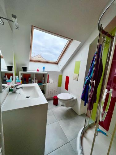 une salle de bain avec un lavabo et des toilettes et une fenêtre dans l'établissement Maison à 5 minutes des 24H du Mans, à Arnage