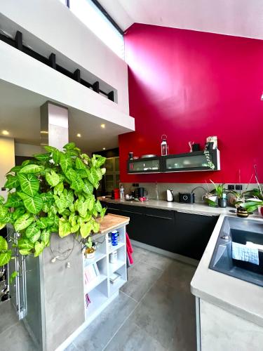 une cuisine avec un mur rouge et une grande plante dans l'établissement Maison à 5 minutes des 24H du Mans, à Arnage