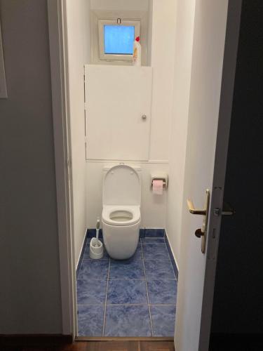 une salle de bain avec toilettes avec un sol en carrelage bleu dans l'établissement Appartement dans le Parc, à Maisons-Laffitte