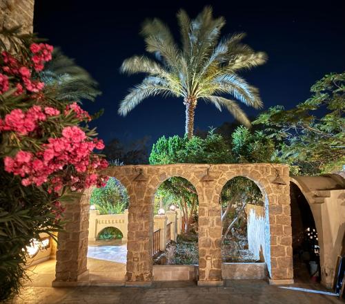 a stone archway with a palm tree in the background at palm shadow resort in Tunis