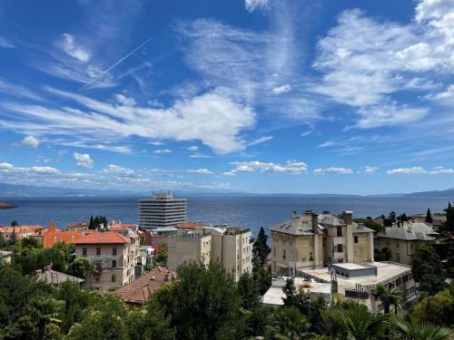 BEST VIEW apartment