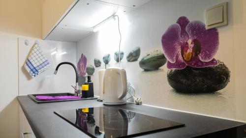 a kitchen with a counter with a flower on the wall at Apartament Ski Sudety Karpacz in Karpacz
