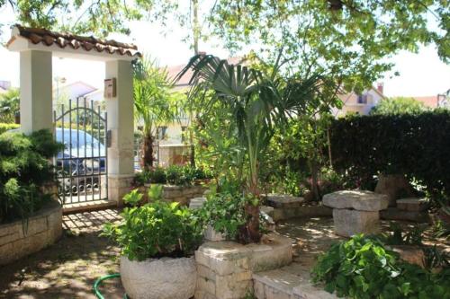 Apartment Maras