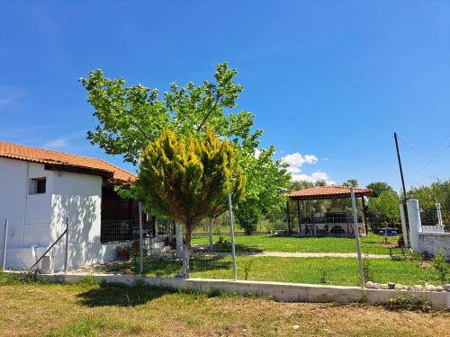 a house with a tree and a gazebo at Μονοκατοικία Kathrin in Nea Kalikratia