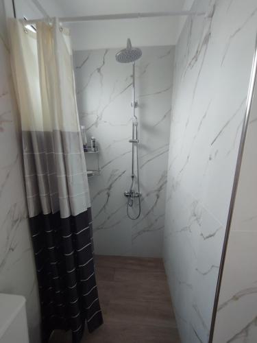 a bathroom with a shower with a shower curtain at ΚΤΗΜΑ ΠΑΥΛΟΜΠΕΗ OLIVE & SEA in Almirón