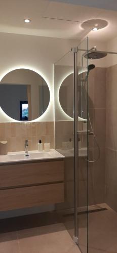 a bathroom with a sink and a mirror at 't Holtslag in Baak