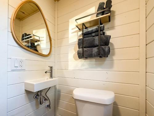 ein Badezimmer mit einem WC, einem Waschbecken und einem Spiegel in der Unterkunft Couples Retreat: King Bed:Hot tub:Firepit & More in Blue Ridge