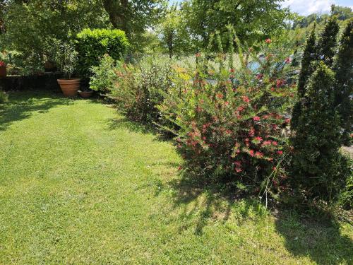 a row of flowering plants in a garden at Casale Valle Cardinale in Valmontone
