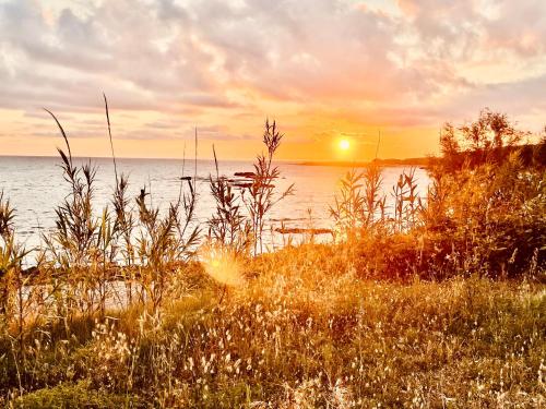 a sunset over a body of water with tall grass at SEAFRONT Pantokratoras #Preveza in Preveza