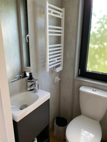a bathroom with a toilet and a sink and a window at Apartamenty Lido in Jastrzębia Góra