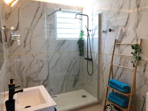 a bathroom with a shower and a sink at T3 Proche des plages - Calme - Parking privé in Le Diamant