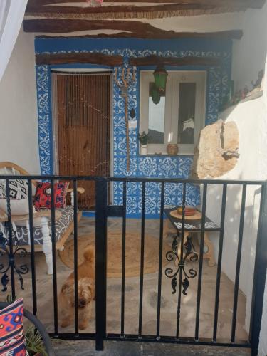 Μπαλκόνι ή βεράντα στο Casa Carrie
