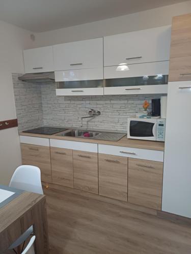 Una cocina o kitchenette en HIŠICA 6084