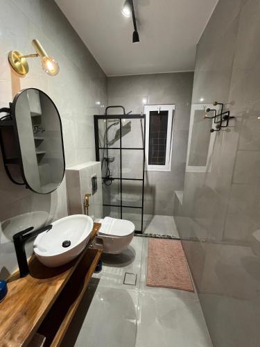 a bathroom with a sink and a toilet and a shower at Lemon garden apartment in Aqaba