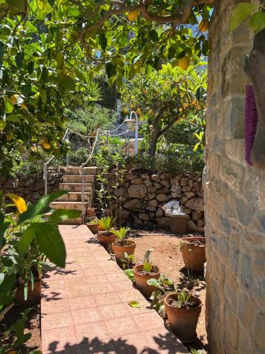 a garden with potted plants and a stone wall at Suite Panoramic in Porticello