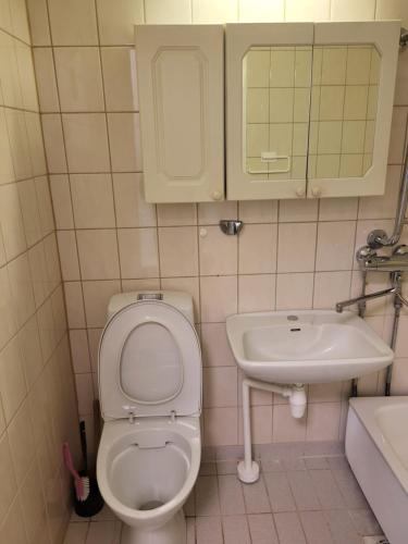a small bathroom with a toilet and a sink at Convenient Stay Helsinki in Helsinki