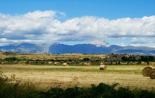 Paesaggio naturale nelle vicinanze della casa vacanze
