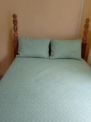 a bed with two pillows on top of it at River Splash Apartment & Cottage in Marigot