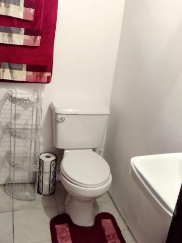 a bathroom with a white toilet and a sink at River Splash Apartment & Cottage in Marigot