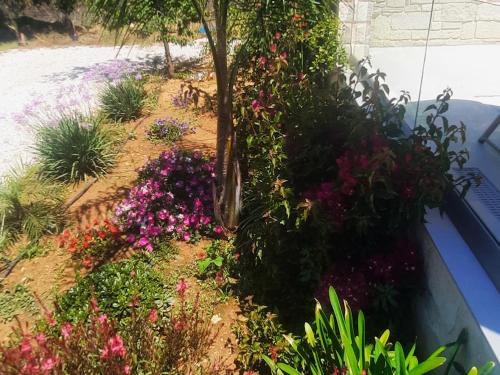 een tuin met roze en paarse bloemen en een boom bij Amare suite in Perivólia