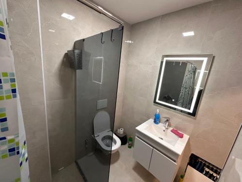 a bathroom with a shower and a toilet and a sink at Empress N Apartment in Kosovo Polje