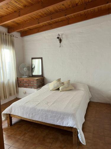 ein Schlafzimmer mit einem großen Bett in einem Zimmer in der Unterkunft CASA DE BARRIO LUJAN DE CUYO in Ciudad Lujan de Cuyo