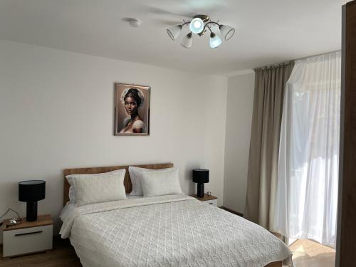 a bedroom with a bed and a ceiling fan at Casa Bocan in Geoagiu Băi