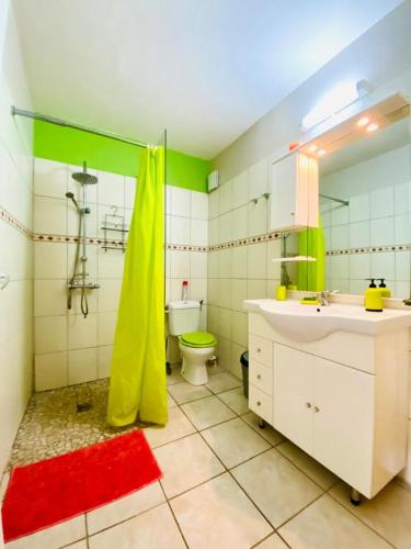 un bagno con doccia, lavandino e WC di Le sucrier a Le Marin