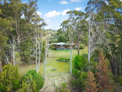 an aerial view of a house in the forest at Blissful Birchs Bay - Gorgeous 3 Bedroom House in Woodbridge
