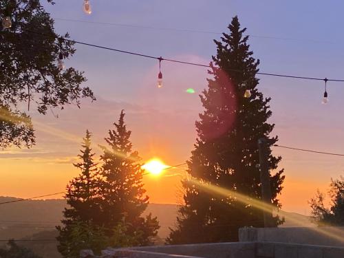 a sunset with christmas lights in front of trees at Art House Kruje in Krujë