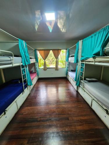 a room with bunk beds and a wooden floor at Costa Rica Backpackers in San José