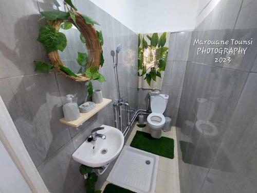 uma casa de banho com um lavatório, um WC e um espelho. em Studio de charme em Houmt Souk