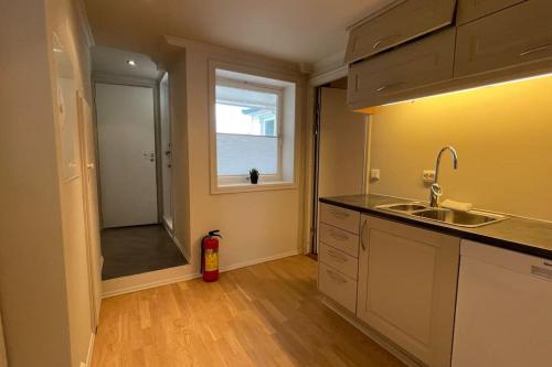 Η κουζίνα ή μικρή κουζίνα στο Ledaal Place 1 by Stavanger BnB