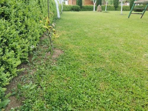 a grassy yard with a bench in the background at Rest House Ripac in Praščijak