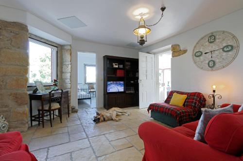 a dog laying on the floor in a living room at Senhora da Paz Lisboa Sintra in Sintra