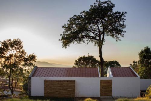 a white building with a tree in the background at Casa Alrededor de un Pino in Mazamitla