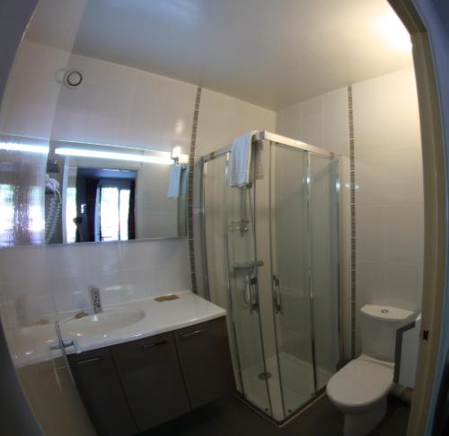 a bathroom with a shower and a sink and a toilet at Castel Fleuri in Tours