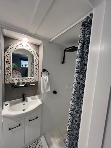 a bathroom with a sink and a mirror and a shower at Rainbows End in Redcliffe