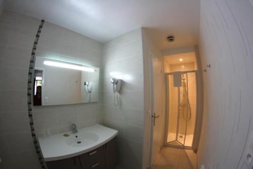 a bathroom with a sink and a shower at Castel Fleuri in Tours
