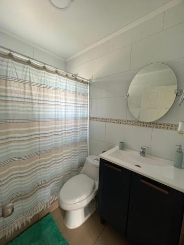 a bathroom with a toilet and a sink and a mirror at Entre arboles in Puerto Varas