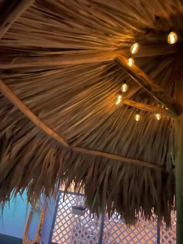 Fotografie z fotogalerie ubytování Palmhouse Aruba 1-2 persons v destinaci Pos Chiquito