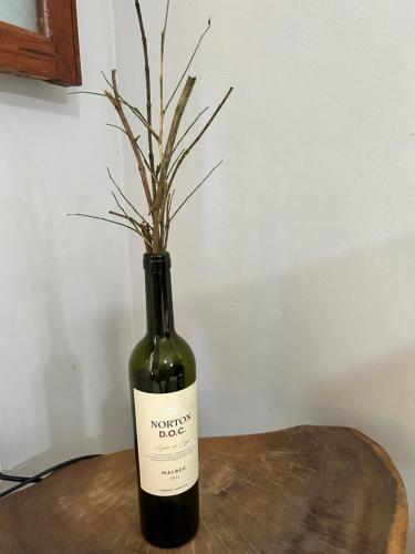 a bottle of wine on a table with a plant in it at Pousada Chalé da Mata - Circuito Caravaggio, Santa Teresa in Santa Teresa