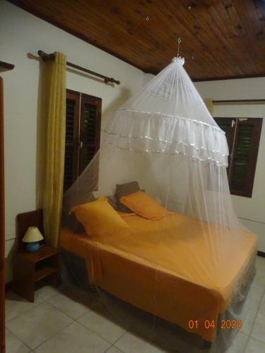 a bed with a plastic canopy in a room at Le gîte du jardin in Gros-Morne