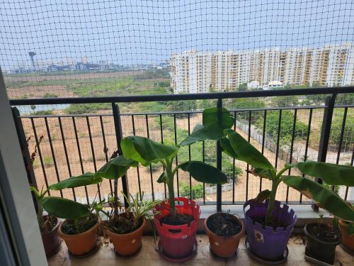 SiruseriOMR IT SIPCOT Area Apartment的相册照片