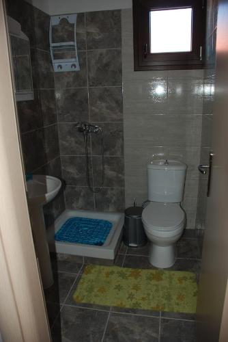 a bathroom with a shower and a toilet and a sink at Marianna Apartments in Nea Roda